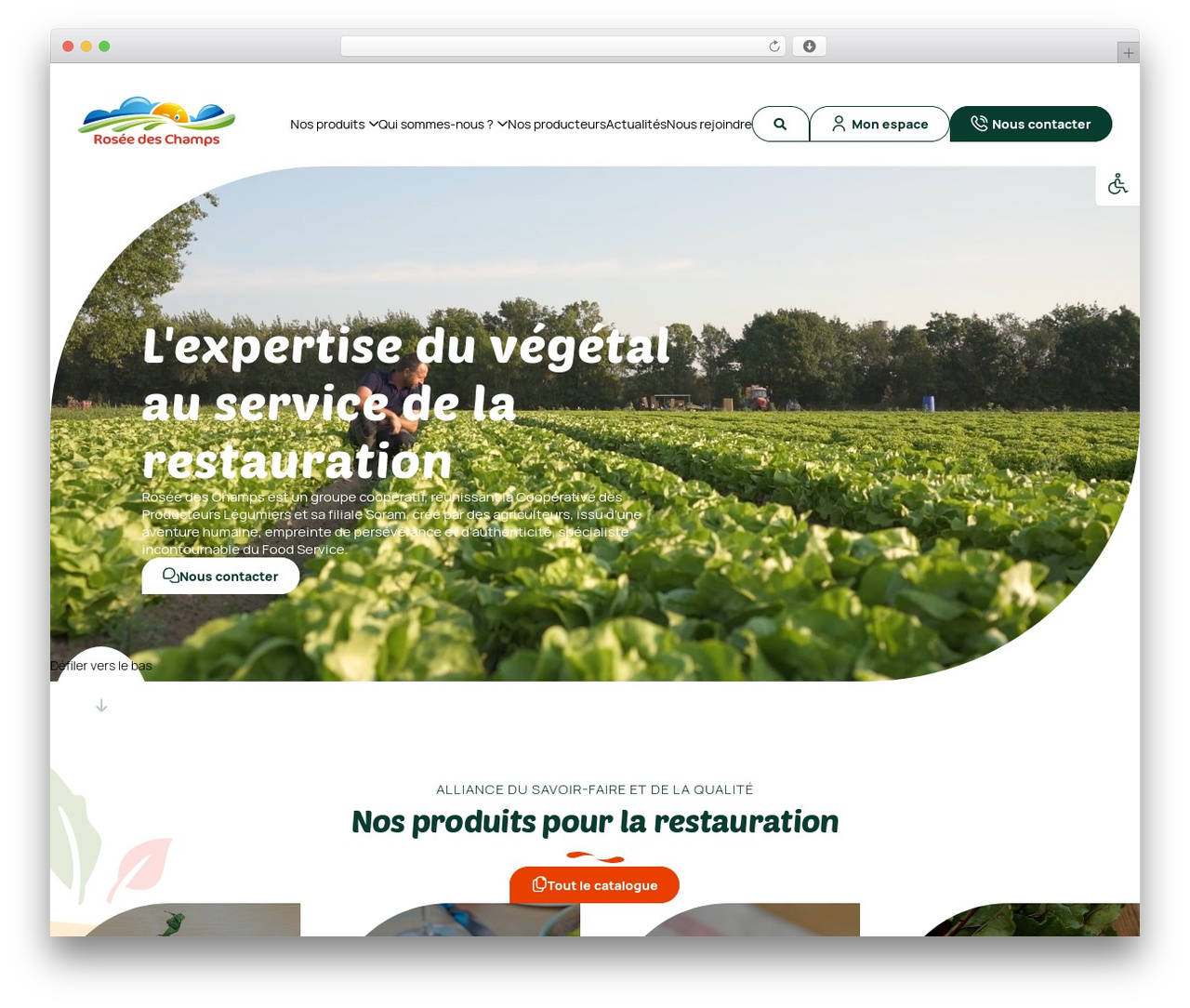 kcwp-mastertheme WordPress theme - roseedeschamps.fr