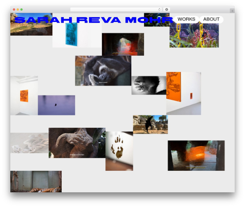 Laytheme imagehover WordPress plugin - sarahrevamohr.net