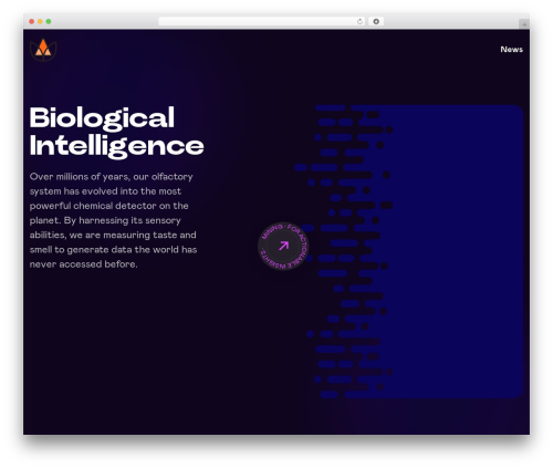 Nerko WordPress theme - aromyx.com
