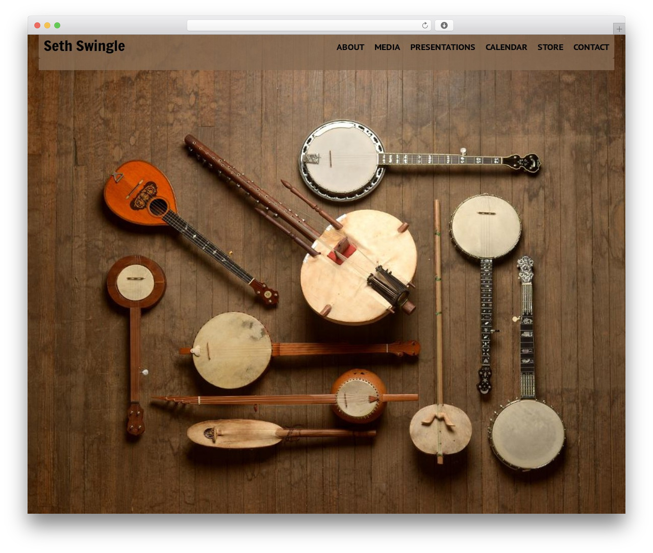 Theme WordPress Dynamik-Gen - sethswingle.com