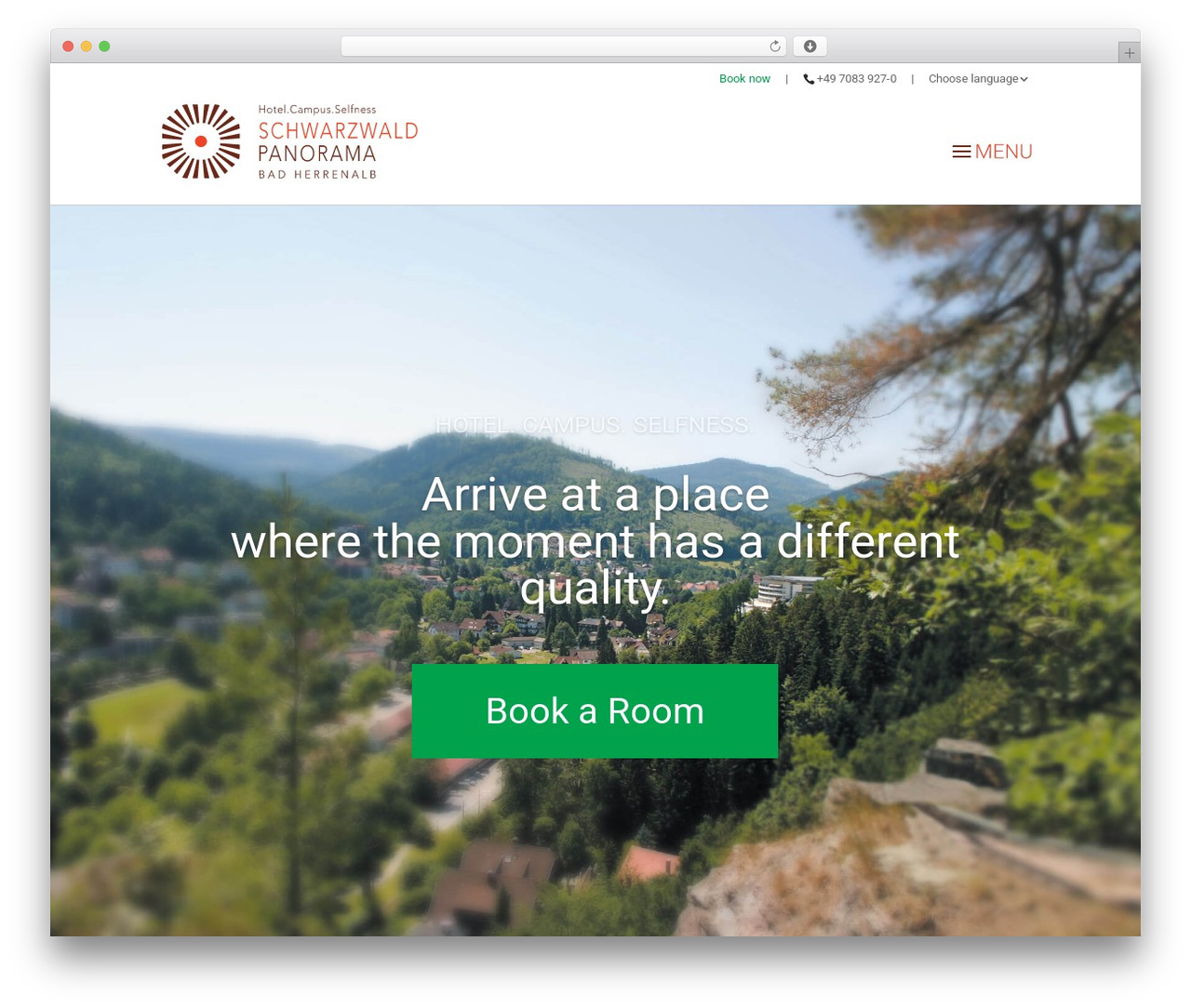 Theme WordPress Divi - schwarzwald-panorama.com