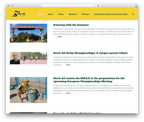 Sport shortcodes plugin WordPress plugin - savioac.org