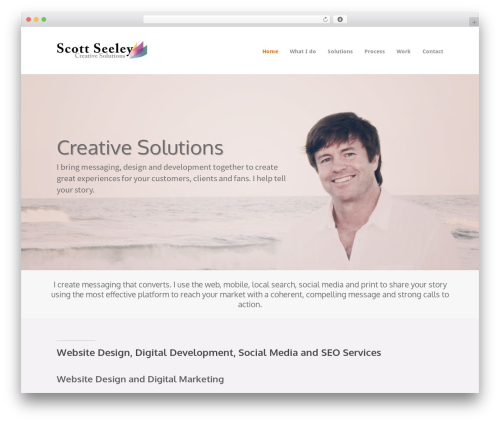 Themetrust social WordPress plugin - scottseeley.com