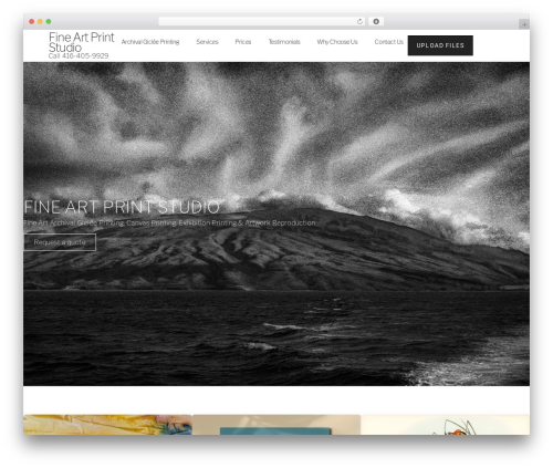 Inavii social feed for elementor WordPress plugin - fineartprintstudio.com