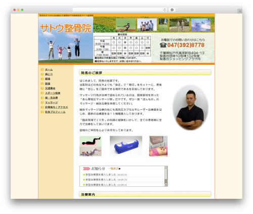 Best WordPress theme サトウ整骨院 2列左メニュー - sato-seikotsu.jp