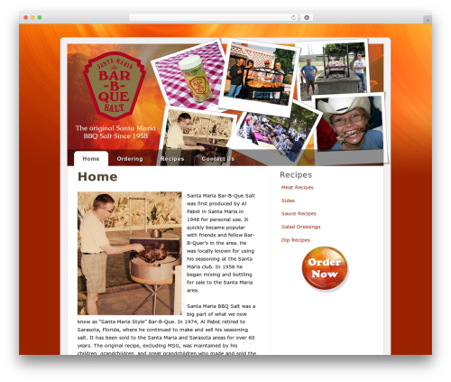 Best WordPress theme VectorLover - santamariabbqsalt.com