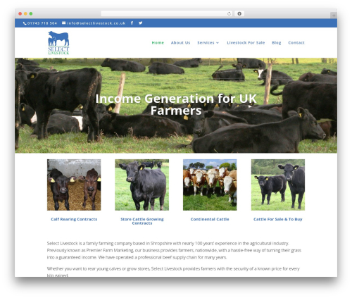 Best WordPress theme Divi - selectlivestock.co.uk