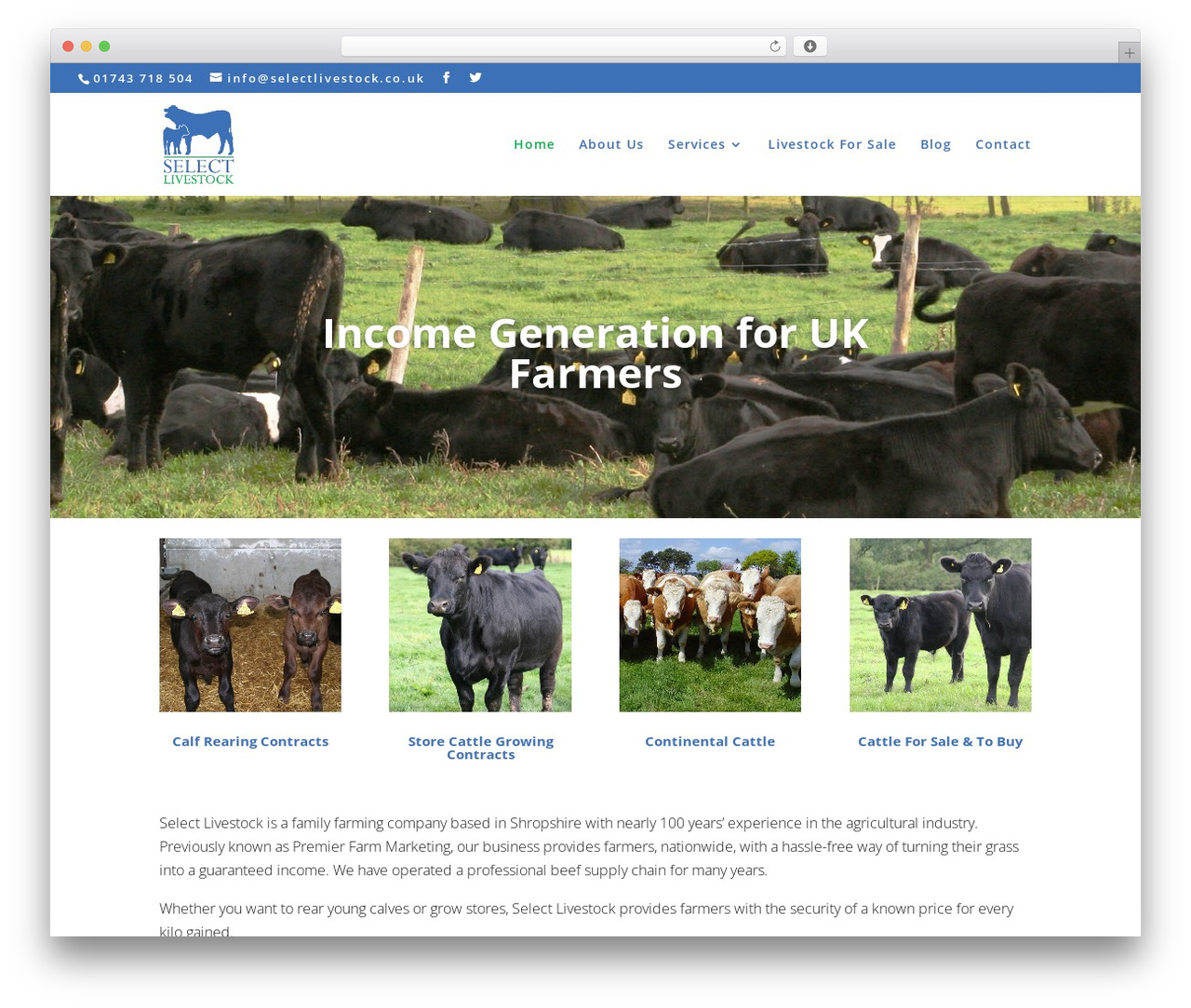 Best WordPress theme Divi - selectlivestock.co.uk Best WordPress theme Divi - selectlivestock.co.uk
