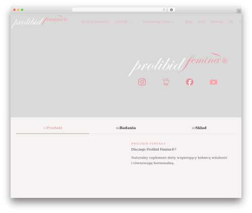 Blocksy WordPress theme design - prolibid.pl