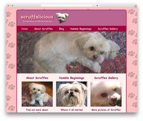 Catalyst WP theme - scruffalicious.com