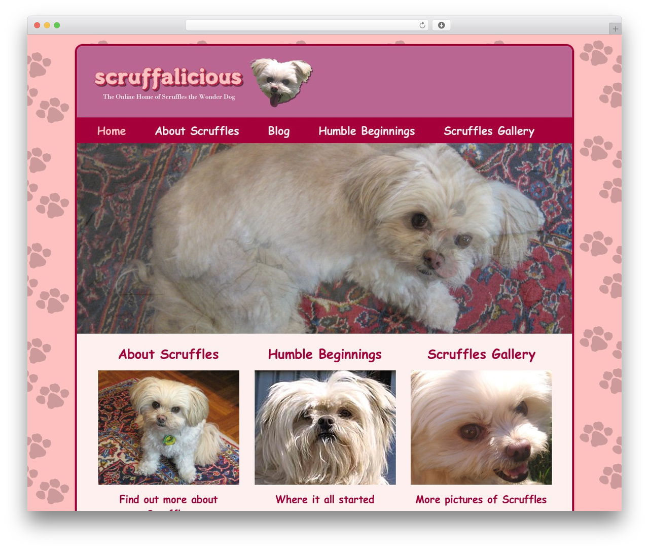 Catalyst WP theme - scruffalicious.com Catalyst WP theme - scruffalicious.com
