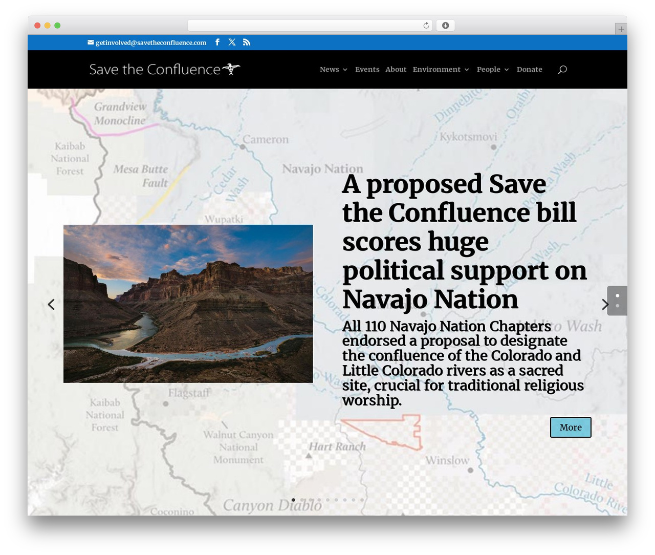 Divi top WordPress theme - savetheconfluence.com