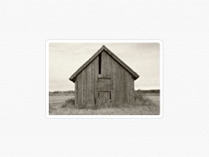 Scratching Shed Publishing WordPress theme Scratching Shed Publishing WordPress theme