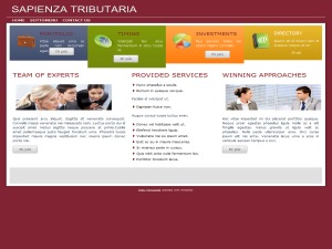 ST6 WordPress theme