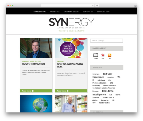 Synergy WordPress theme - syniverse.hanekedesignhosting.com