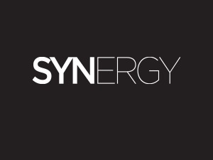 Theme WordPress Synergy by Haneke Design