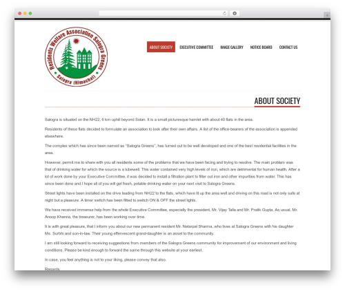 Tesla theme WordPress free - salogragreens.com