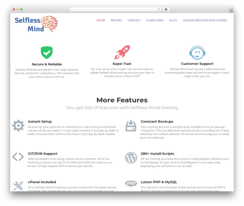 Theme WordPress Flathost - selfless-mind.com