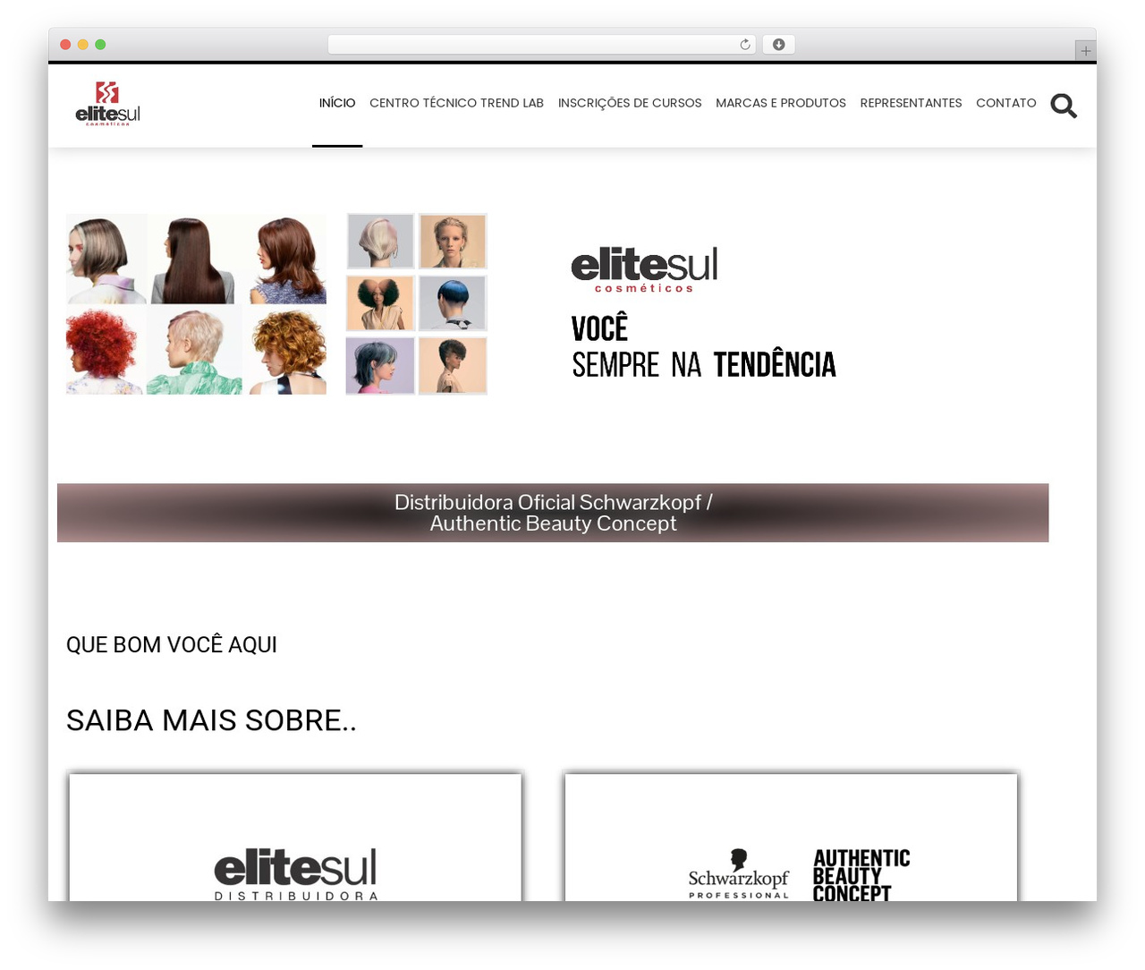 WordPress theme Wolf WP - elitesulcosmeticos.com WordPress theme Wolf WP - elitesulcosmeticos.com