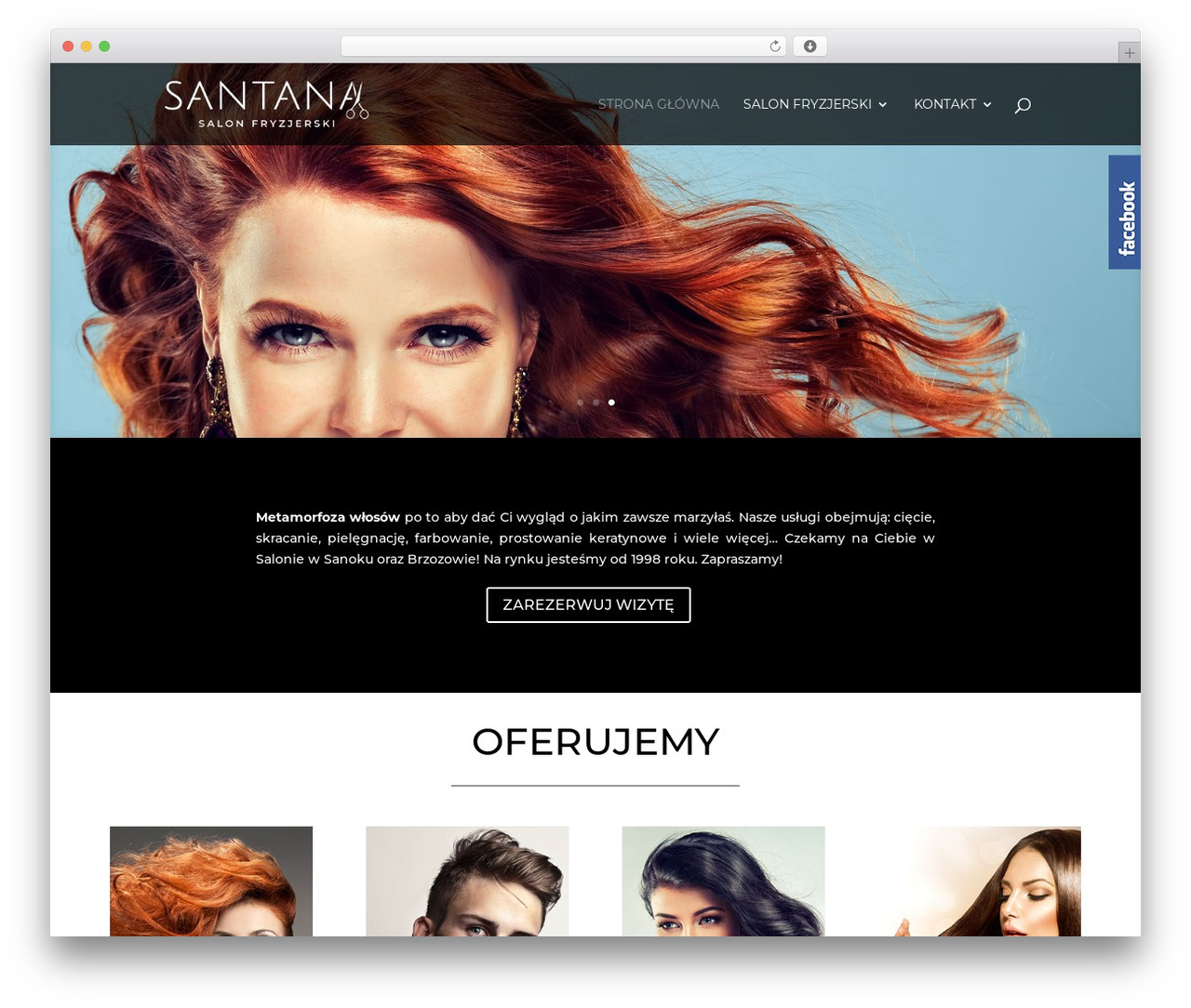 WordPress theme Divi - salonsantana.pl