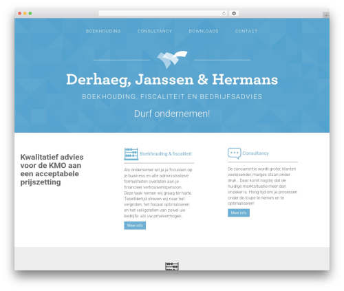 WordPress theme Scalex - scalex.be