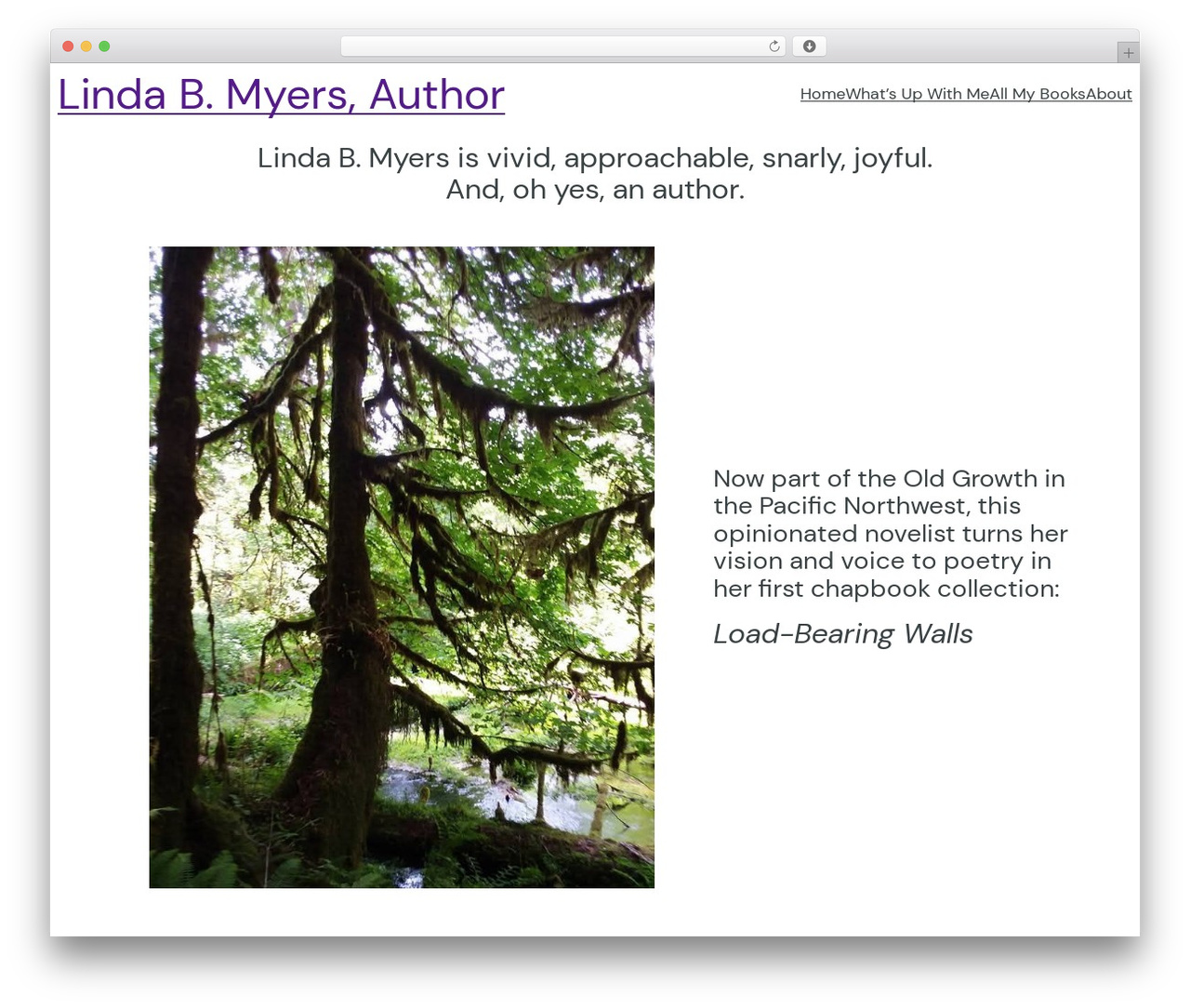 WP theme Blockbase - lindabmyers.com WP theme Blockbase - lindabmyers.com