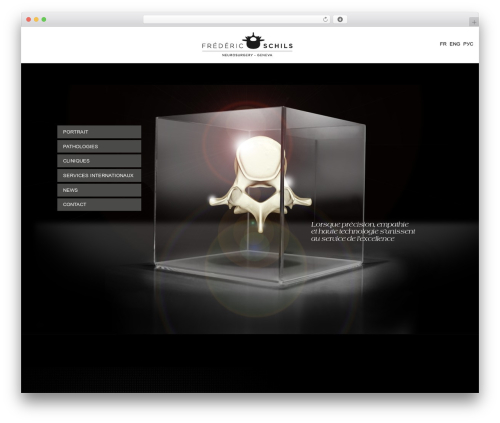 Flatco WordPress theme - schilsneurosurgery.com