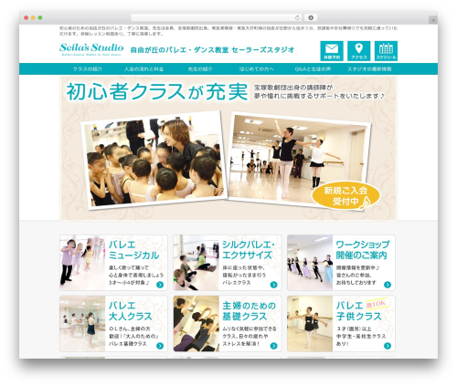 Tweetable (tweetable) free WordPress plugin - seilas-studio.com