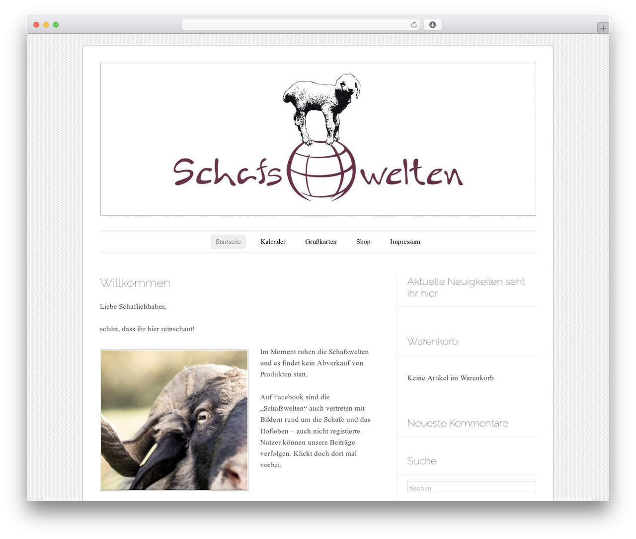 Forever theme WordPress - schafswelten.com Forever theme WordPress - schafswelten.com