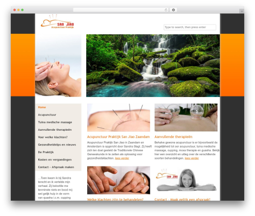 Headway excerptsplus WordPress plugin - sanjiao-acupunctuur.nl