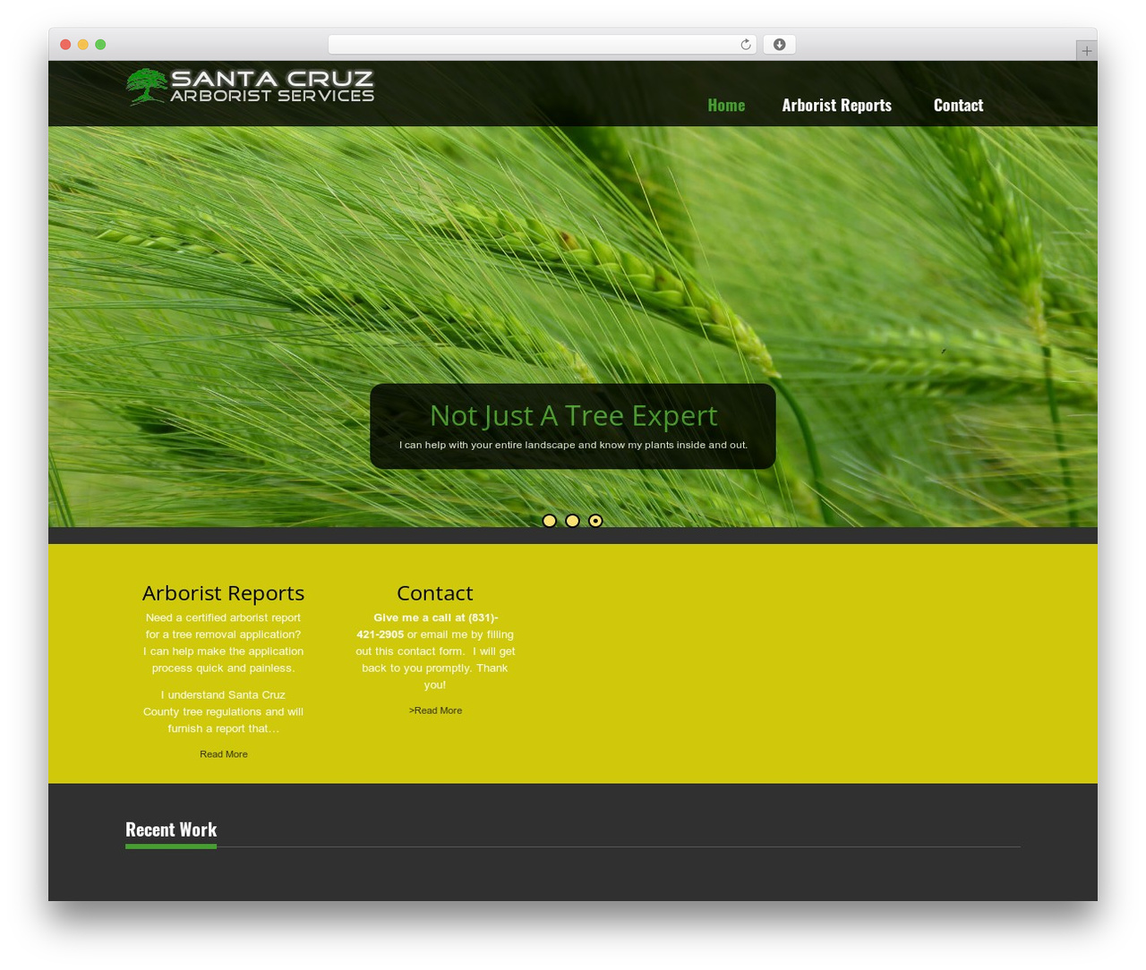 Nature One WordPress theme - santacruzarborist.com