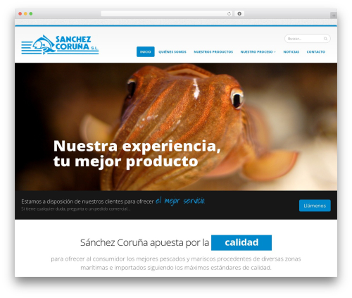 Honeypot Anti-Spam (honeypot-antispam) free WordPress plugin - sanchezcorunasl.com Honeypot Anti-Spam (honeypot-antispam) free WordPress plugin - sanchezcorunasl.com