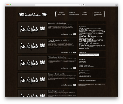 Revolution Elements best WordPress theme - sc.rutz.fr