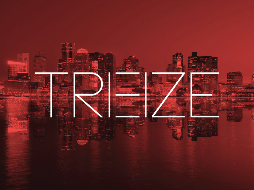 SAP WordPress theme by TREIZE