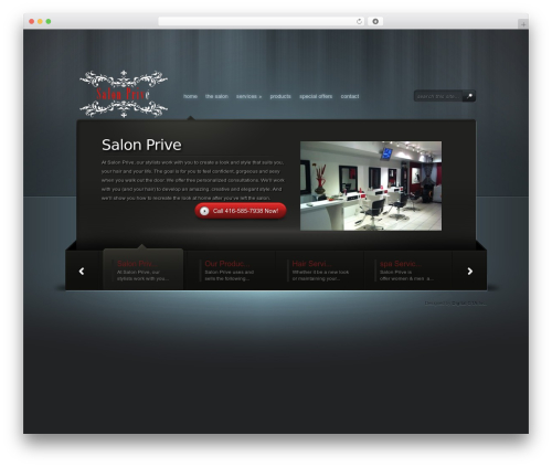 Styles with shortcodes WordPress plugin - salonpriveinc.net