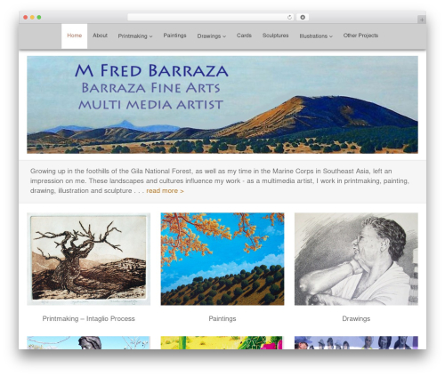 Thinkup panels WordPress plugin - barrazafinearts.com