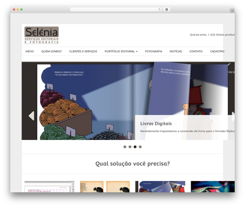 Webify WordPress theme - selenia.com.br