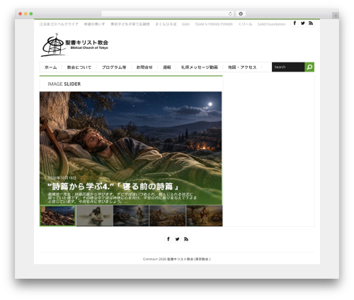 WordPress theme Black Flag - seishokirisuto.com
