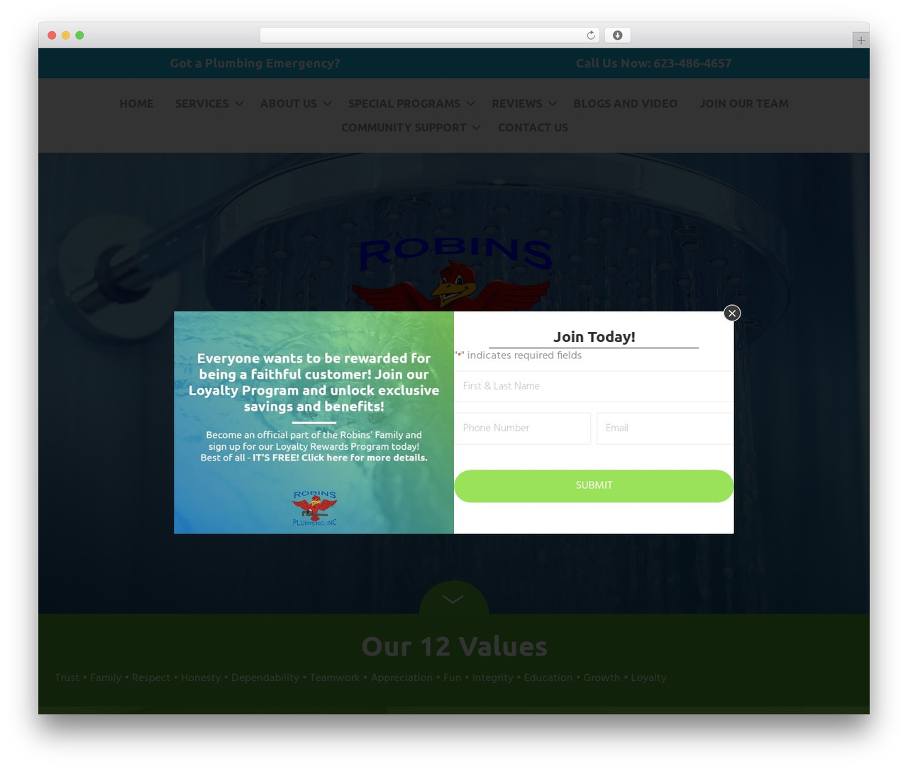 WordPress theme Beaver Builder Theme - robinsplumbing.com WordPress theme Beaver Builder Theme - robinsplumbing.com