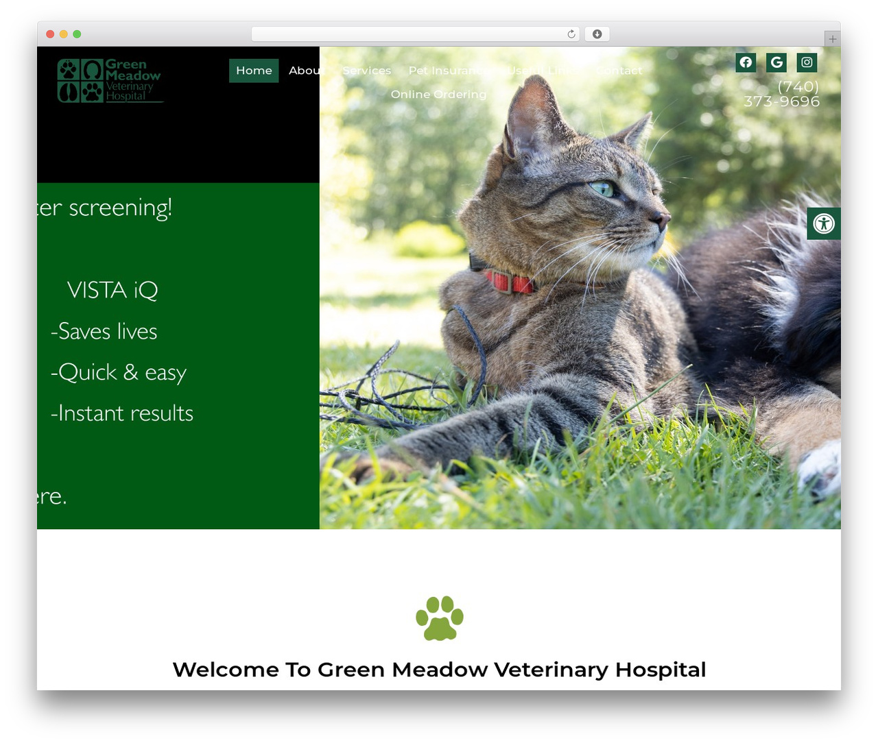 WordPress theme Parallax - Schema - mygreenmeadowvet.com WordPress theme Parallax - Schema - mygreenmeadowvet.com