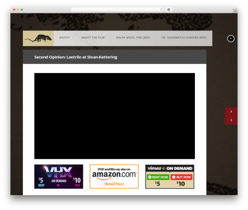 Mailbag WordPress plugin - secondopinionfilm.com