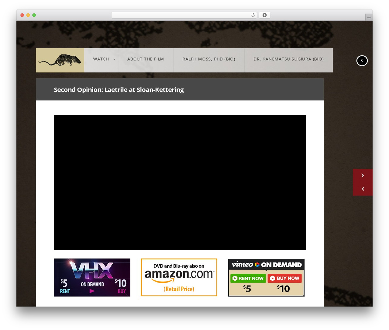 WordPress theme Responsive Fullscreen Studio for WordPress - secondopinionfilm.com WordPress theme Responsive Fullscreen Studio for WordPress - secondopinionfilm.com