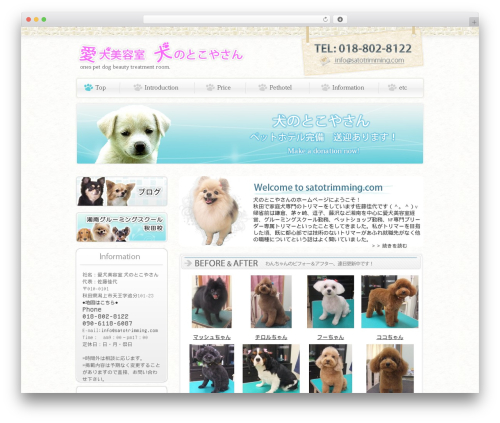 WPtap News Press (wptap) free WordPress plugin - satotrimming.com WPtap News Press (wptap) free WordPress plugin - satotrimming.com