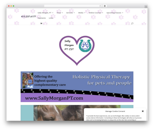 Divi learndash kit WordPress plugin - sallymorganpt.com