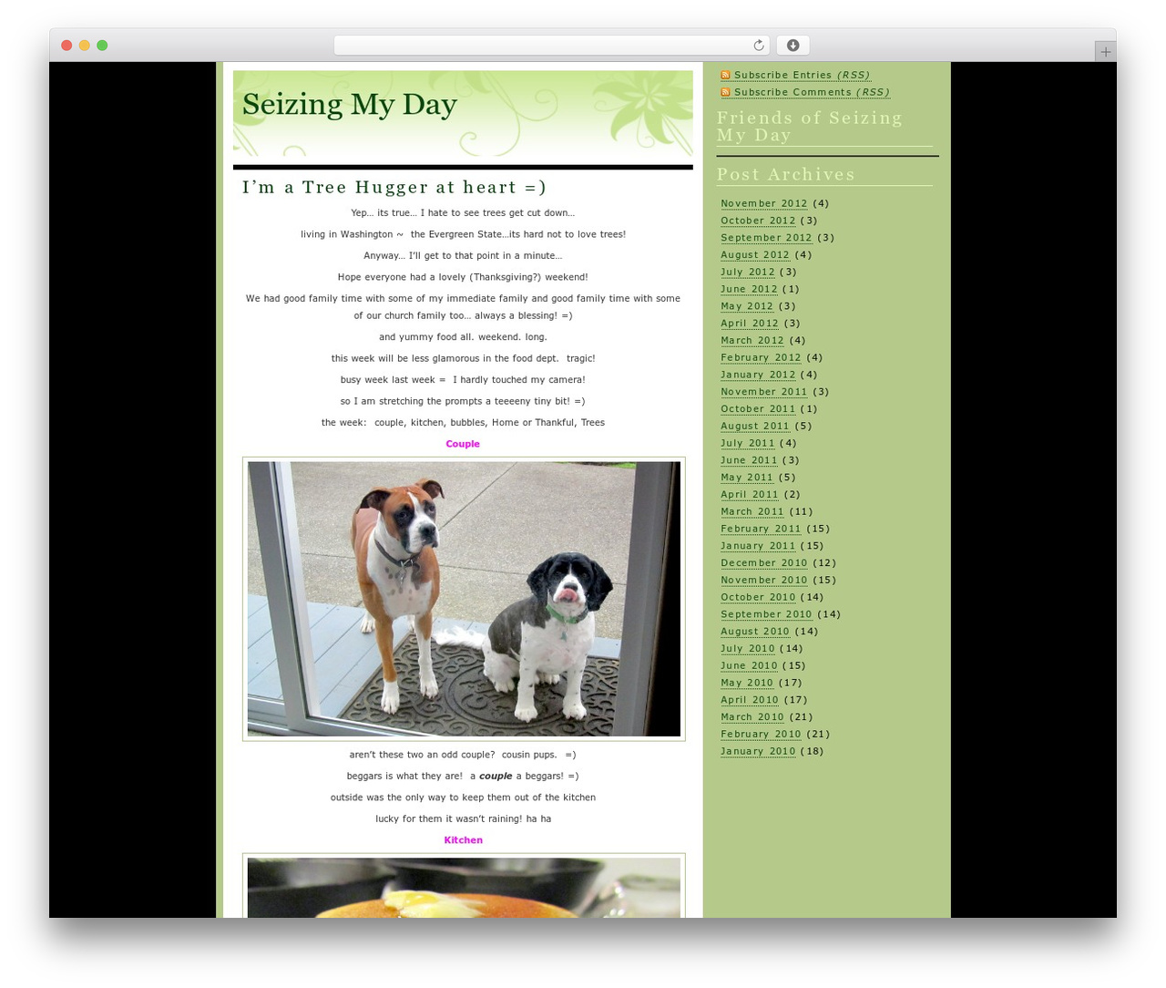 Fadonet Alien WordPress theme - seizingmyday.com