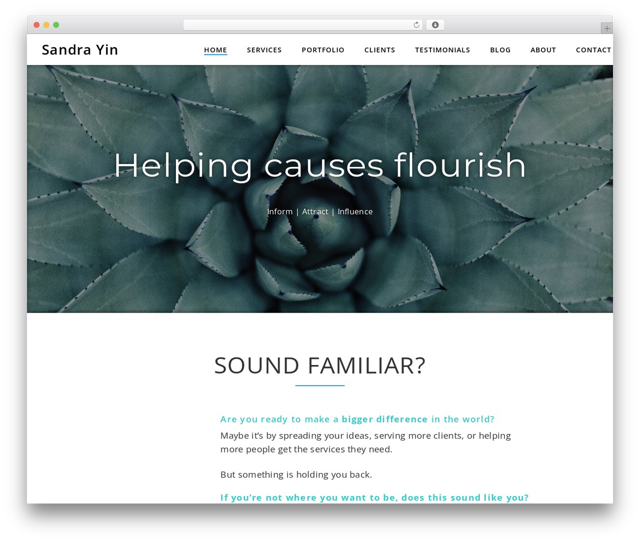Integral Pro best WordPress theme - sandrayin.com