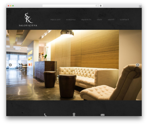 Kinya WordPress website theme - salonkinya.com