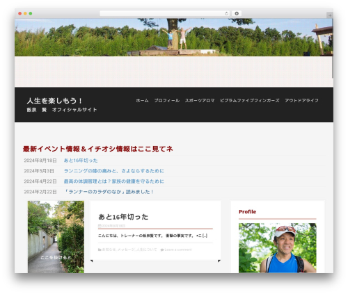 Moesia WordPress theme - satoshiiizumi.com