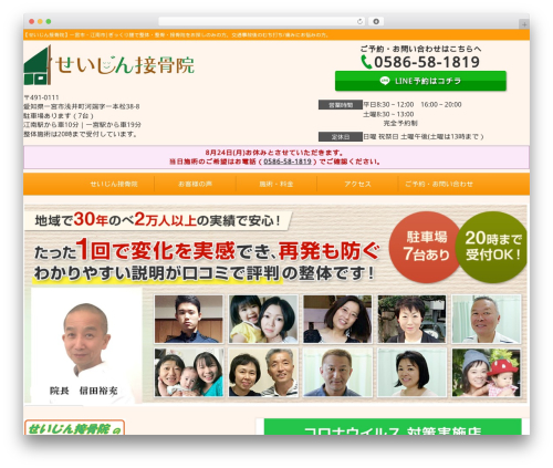 Selfull WordPress theme - seizin.info