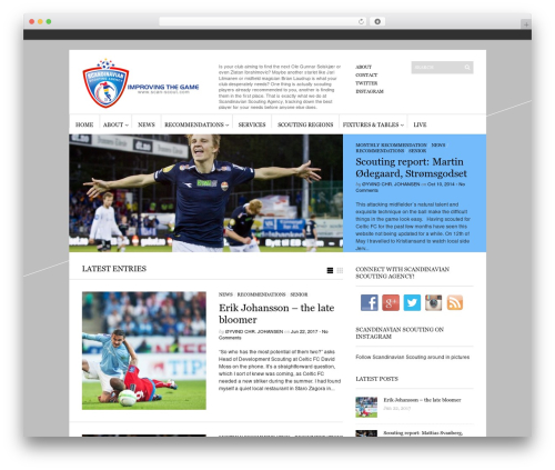Sight WP theme - scan-scout.com